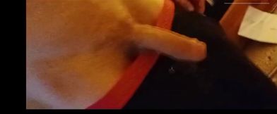 Solo playing with myself before I have a wank!