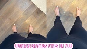 Unaware Giantess Steps on You!