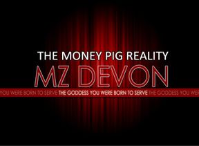 The MONEY PIG Reality (Audio Dose)
