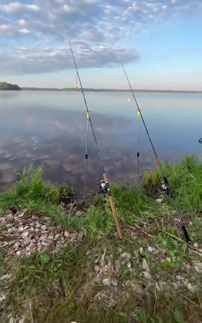 I End up Fishing