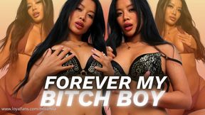Forever My Bitch Boy Compilation
