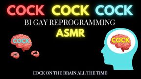 Cock Addict Reprogramming ASMR (720)