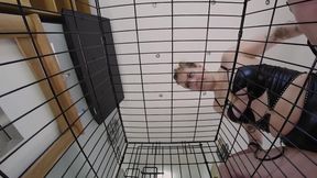 Mx Bambi - Facesitting Dominatrix