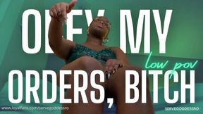 OBEY MY ORDERS BITCH low POV - Royal Ro