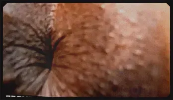 Sensual Ebony Babe's Anal Closeup with Older Man