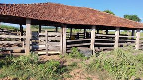 I Went to Visit My Farm and Ended up Having Sex with the Cowboy; He Fucked Me Like a Slut.