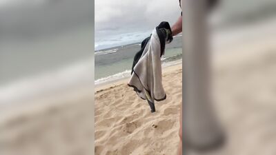 Naked and Hard on a Public Beach (Cumshot at the End)