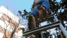 To the garden for oranges WMV (1920x1080) FHD