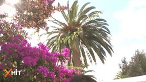 Intensive Deepthroat Compilation mit Angel Rivas, Abelia &amp; Teena Dolly