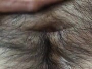 Otter wants you to play with his fur