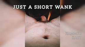 just a short wank