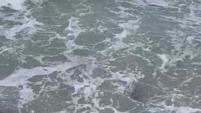 Ocean ocean and more ocean