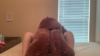 BBW getting pounded by stuffed animal