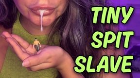 Spitting on the Tiny Freak - Giantess Roleplay Spit Humiliation & Sweaty Armpit Worship (1080p)