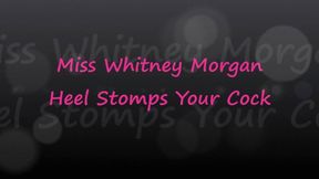 Miss Whitney Morgan Heel Stomps Your Pathetic Cock - wmv