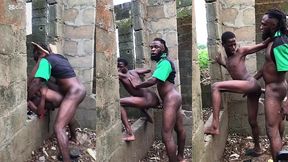 zaddy and little brown in the bush