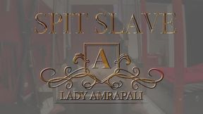 SPIT SLAVE Total lenghts 3:15 minutes Spitting Bdsm Slave ?? Sklave wird angespuckt - Spucke LADY AMRAPALI Herrin Mistress Domina