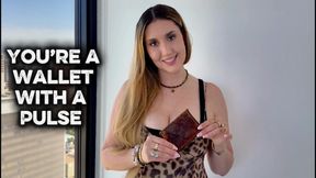 POV: You’re a Human Wallet