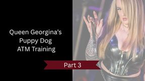 Queen Georgina’s Puppy Training: Part 3
