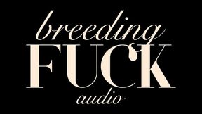 Breeding Fuck Audio