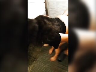 Lalin girl Wife Biggest Bazookas Cuckold