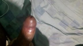 Novinho