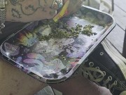 Piggy messing with Marijuana