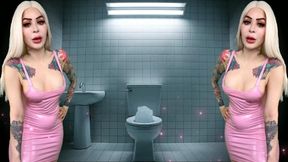 AROMA Game Changer : Full Toilet Mode - original edition