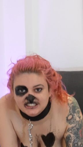 4K Angry Puppy Barking Rabidly Gasping Sniffing All the Room