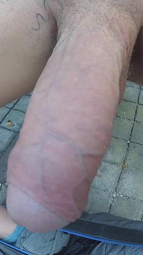 My Monster 20 Cm Cock Super Hot Compilation