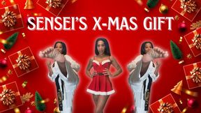 SENSEI'S X-MAS GIFT