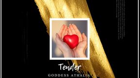 Tender (Former Exclusive)