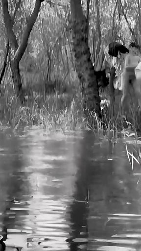 Baden Verboten Aka Bathing Forbidden Restored in 4K