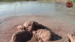 Mud Heaven