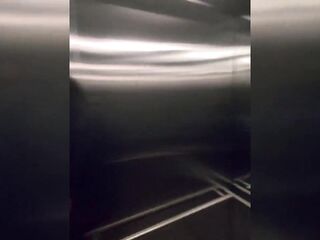 Shy 18yo Gets Convinced in Elevator to Show Her Bazookas Then Creampied