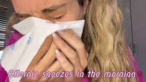 Allergic sneezes in the morning