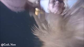 Codi Vore Plays with Huge Tits Underwater