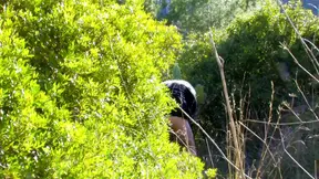 Blonde mature slut bounces her big ass outdoors