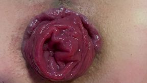 Spread and prolapse my asshole close up