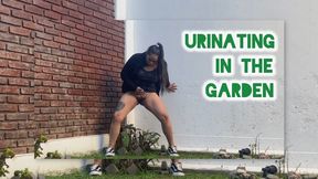 Urinating in the garden