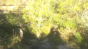 Levei ela pra conhecer a ponte que o trem passava!!! A Safada BombomD4 começou Chupar... Os Guardas chegou!!! "Sem Cortes"