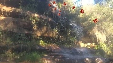 Levei ela pra conhecer a ponte que o trem passava!!! A Safada BombomD4 começou Chupar... Os Guardas chegou!!! "Sem Cortes"