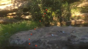 Levei ela pra conhecer a ponte que o trem passava!!! A Safada BombomD4 começou Chupar... Os Guardas chegou!!! "Sem Cortes"