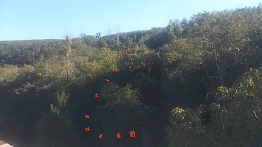 Levei ela pra conhecer a ponte que o trem passava!!! A Safada BombomD4 começou Chupar... Os Guardas chegou!!! "Sem Cortes"
