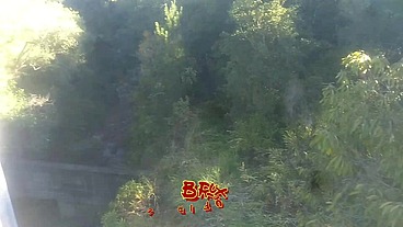 Levei ela pra conhecer a ponte que o trem passava!!! A Safada BombomD4 começou Chupar... Os Guardas chegou!!! "Sem Cortes"