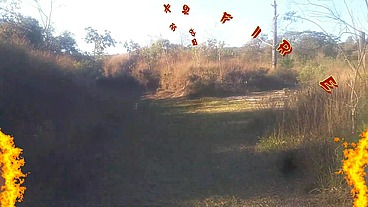 Levei ela pra conhecer a ponte que o trem passava!!! A Safada BombomD4 começou Chupar... Os Guardas chegou!!! "Sem Cortes"