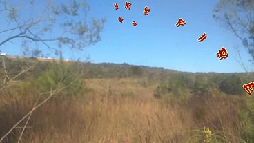 Levei ela pra conhecer a ponte que o trem passava!!! A Safada BombomD4 começou Chupar... Os Guardas chegou!!! "Sem Cortes"