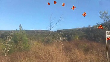 Levei ela pra conhecer a ponte que o trem passava!!! A Safada BombomD4 começou Chupar... Os Guardas chegou!!! "Sem Cortes"