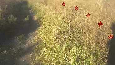 Levei ela pra conhecer a ponte que o trem passava!!! A Safada BombomD4 começou Chupar... Os Guardas chegou!!! "Sem Cortes"