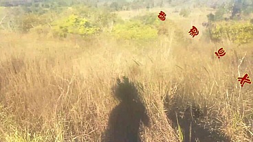 Levei ela pra conhecer a ponte que o trem passava!!! A Safada BombomD4 começou Chupar... Os Guardas chegou!!! "Sem Cortes"